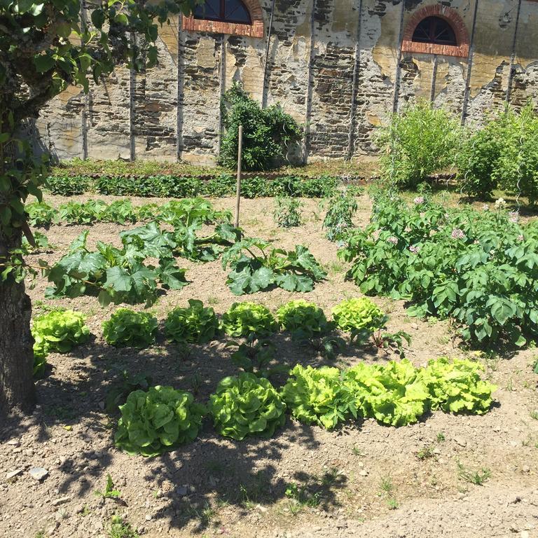 Cahan Le Manoir De Benedicte B&B מראה חיצוני תמונה